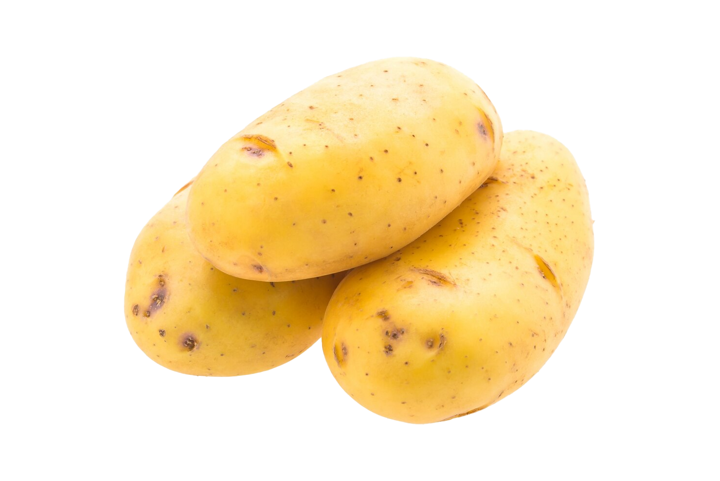 Potato